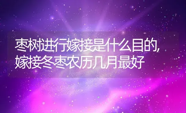 枣树进行嫁接是什么目的,嫁接冬枣农历几月最好 | 养殖常见问题