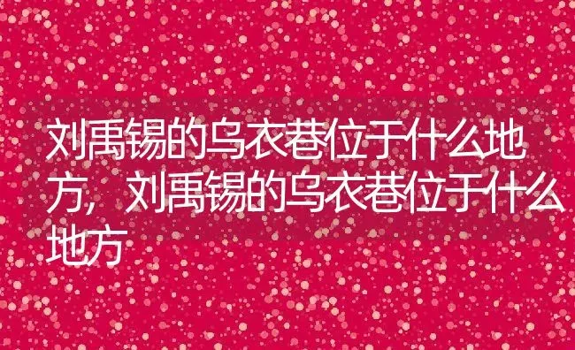 刘禹锡的乌衣巷位于什么地方,刘禹锡的乌衣巷位于什么地方 | 养殖常见问题