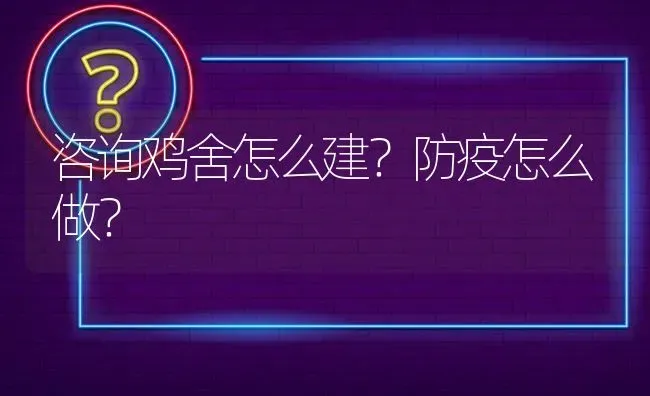 咨询鸡舍怎么建?防疫怎么做? | 养殖问题解答