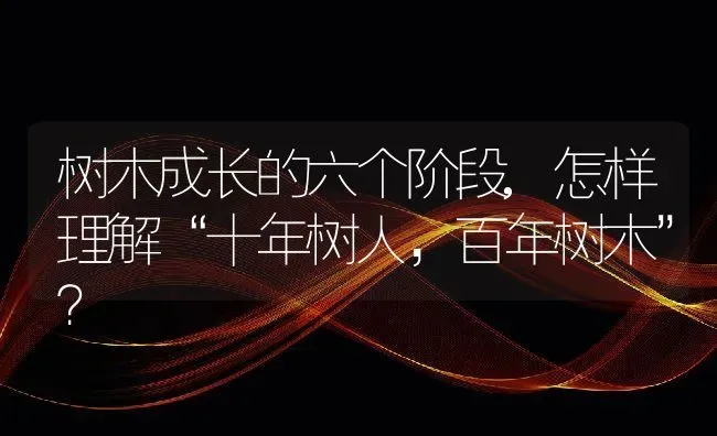 树木成长的六个阶段,怎样理解“十年树人，百年树木”？ | 养殖常见问题