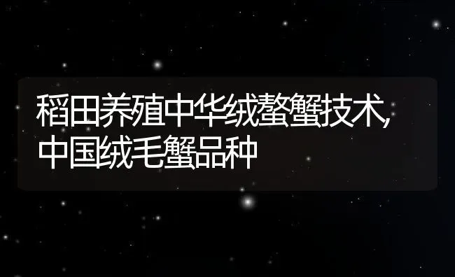 稻田养殖中华绒螯蟹技术,中国绒毛蟹品种 | 养殖常见问题