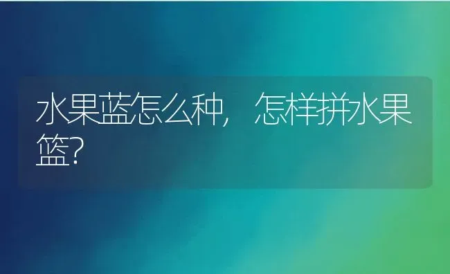 水果蓝怎么种,怎样拼水果篮？ | 养殖常见问题