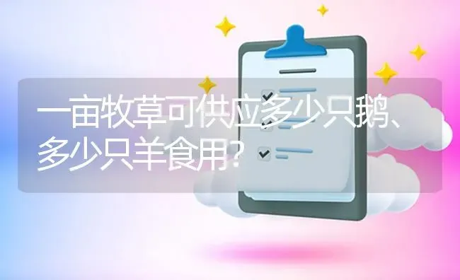 一亩牧草可供应多少只鹅、多少只羊食用? | 养殖问题解答