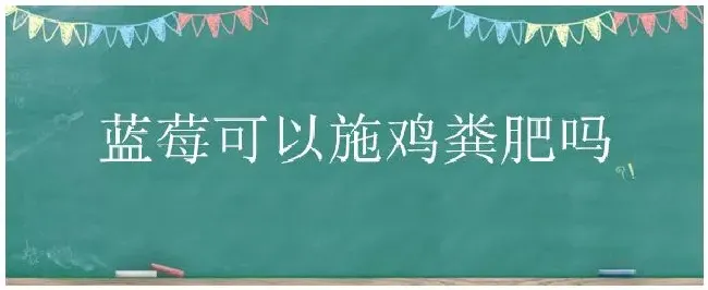 蓝莓可以施鸡粪肥吗 | 生活常识