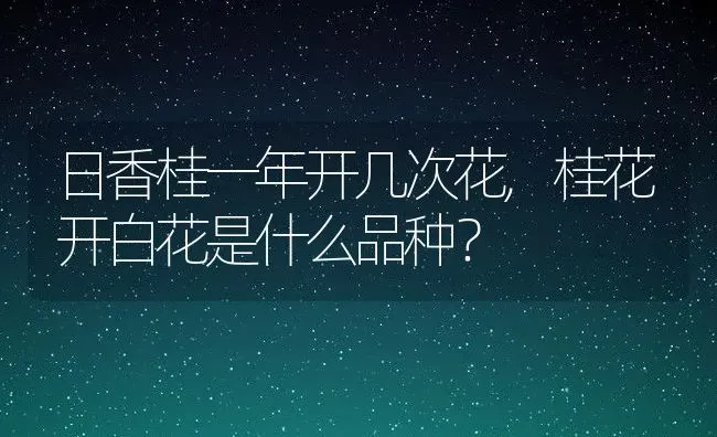 日香桂一年开几次花,桂花开白花是什么品种？ | 养殖常见问题