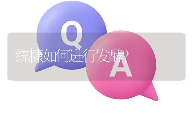 统糠如何进行发酵? | 养殖问题解答