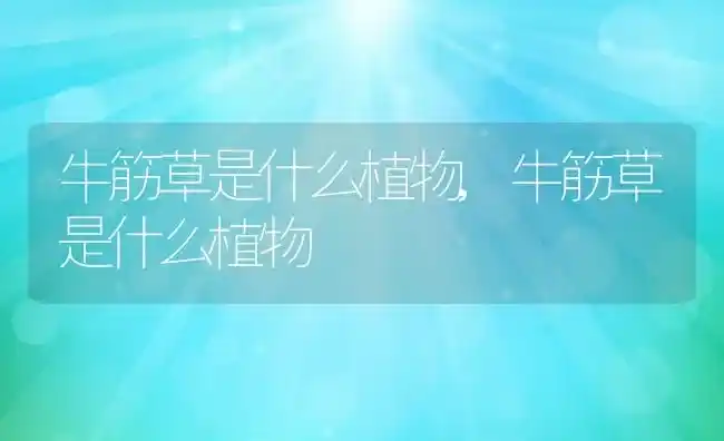 牛筋草是什么植物,牛筋草是什么植物 | 养殖常见问题