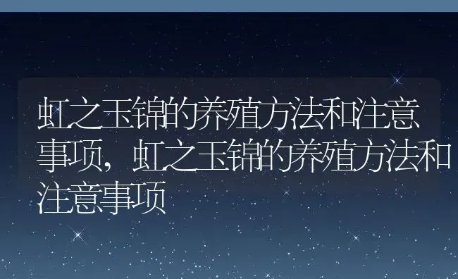 虹之玉锦的养殖方法和注意事项,虹之玉锦的养殖方法和注意事项 | 养殖常见问题