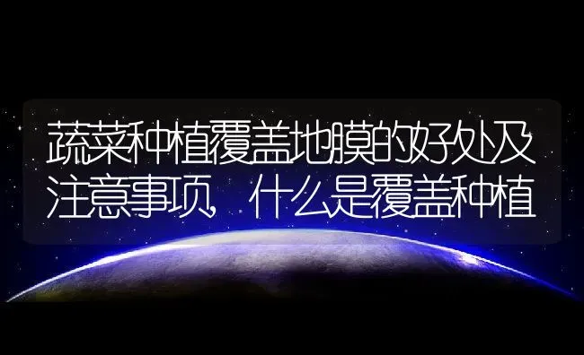 甜豆和豌豆的区别,荷兰豆就是青豌豆吗？ | 养殖常见问题