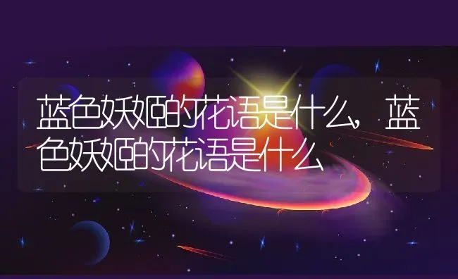 蓝色妖姬的花语是什么,蓝色妖姬的花语是什么 | 养殖常见问题