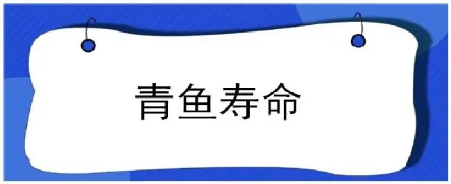 青鱼寿命 | 生活常识