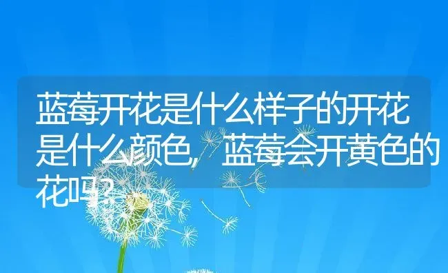 蓝莓开花是什么样子的开花是什么颜色,蓝莓会开黄色的花吗？ | 养殖常见问题