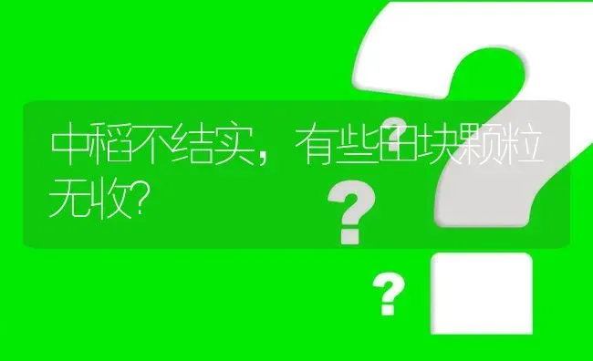 中稻不结实,有些田块颗粒无收? | 养殖问题解答