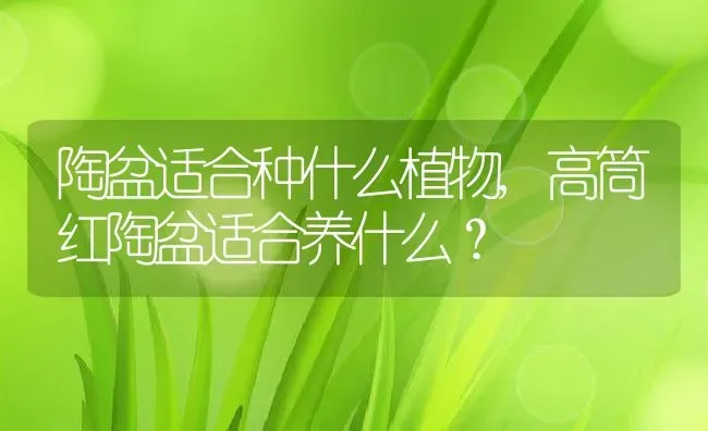 陶盆适合种什么植物,高筒红陶盆适合养什么？ | 养殖常见问题