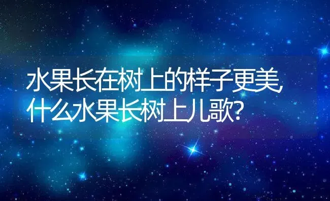 水果长在树上的样子更美,什么水果长树上儿歌？ | 养殖常见问题