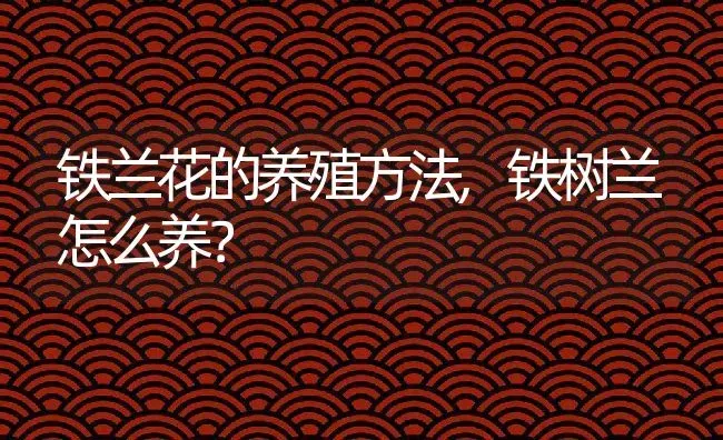铁兰花的养殖方法,铁树兰怎么养？ | 养殖常见问题