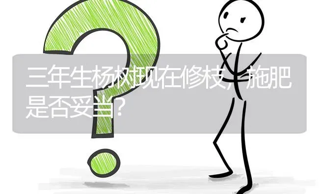 三年生杨树现在修枝,施肥是否妥当? | 养殖问题解答