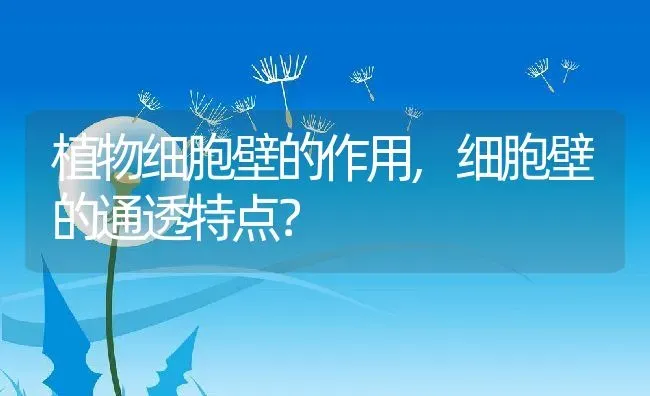 植物细胞壁的作用,细胞壁的通透特点？ | 养殖常见问题