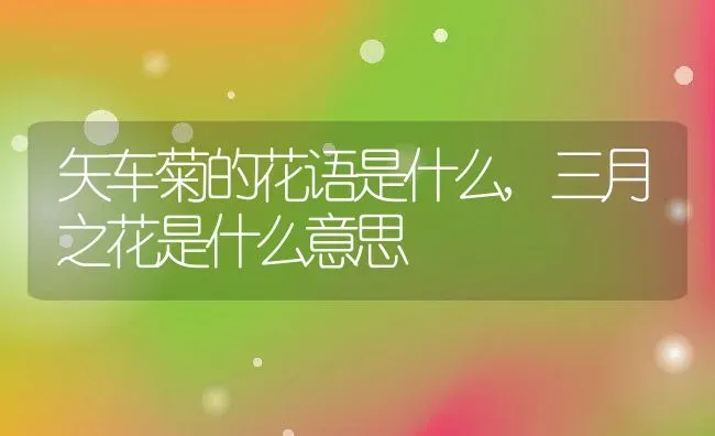 矢车菊的花语是什么,三月之花是什么意思 | 养殖常见问题