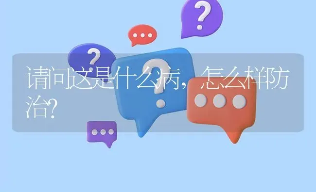 请问这是什么病,怎么样防治? | 养殖问题解答