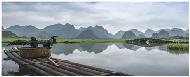 鱼塘养鱼知识 | 科普知识