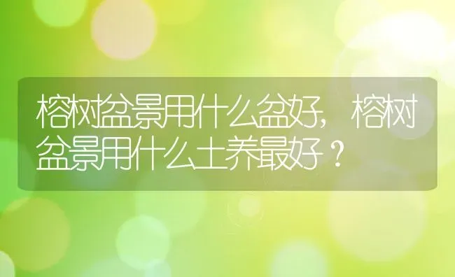 榕树盆景用什么盆好,榕树盆景用什么土养最好？ | 养殖常见问题