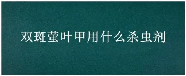 双斑萤叶甲用什么杀虫剂 | 生活常识