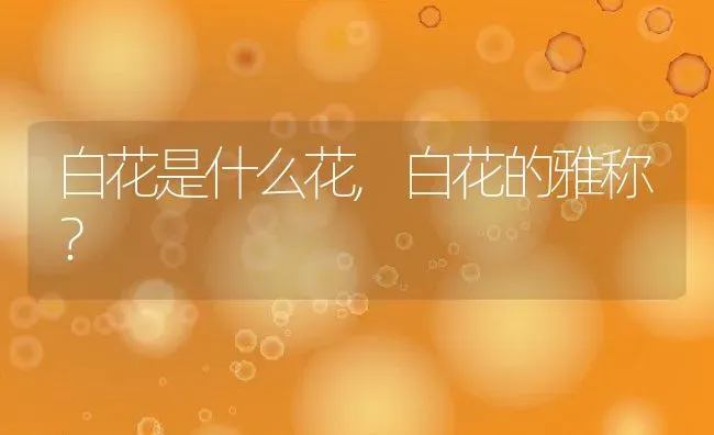 白花是什么花,白花的雅称？ | 养殖常见问题