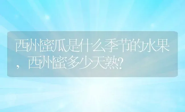 西州蜜瓜是什么季节的水果,西州蜜多少天熟？ | 养殖常见问题