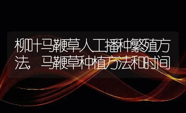 表示希望的花花语是希望的花,什么花代表重生和希望 | 养殖常见问题