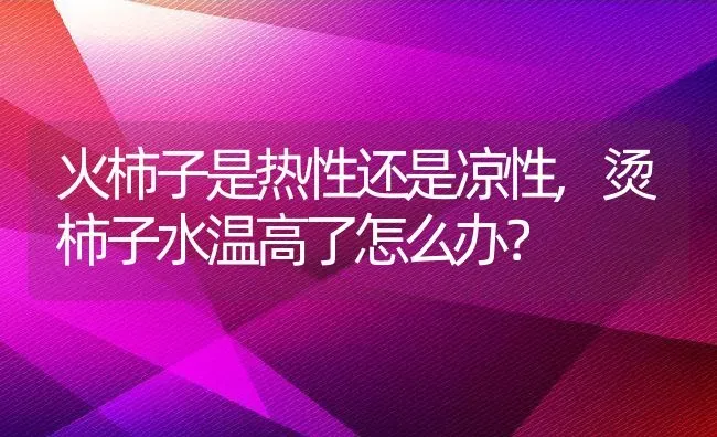 火柿子是热性还是凉性,烫柿子水温高了怎么办？ | 养殖常见问题