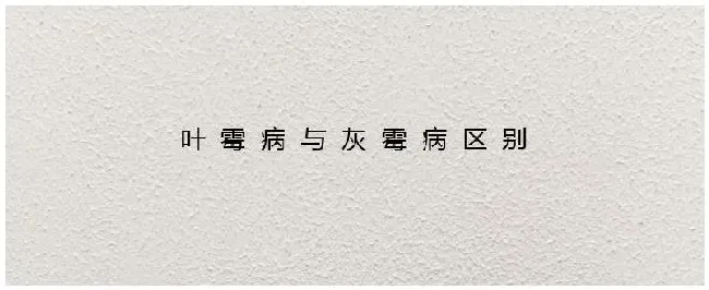 叶霉病与灰霉病区别 | 农业答疑