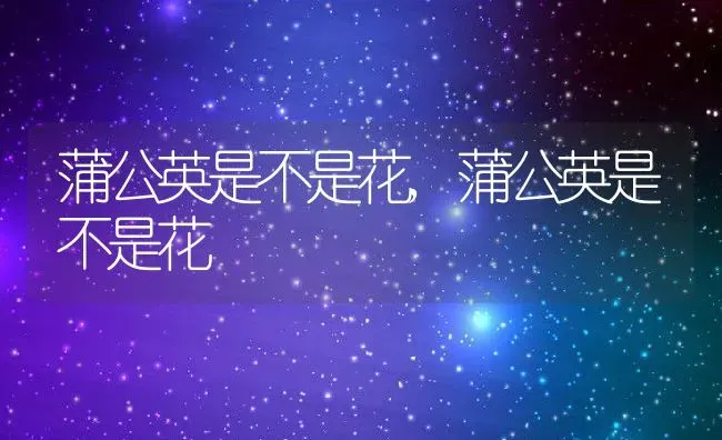 蒲公英是不是花,蒲公英是不是花 | 养殖常见问题