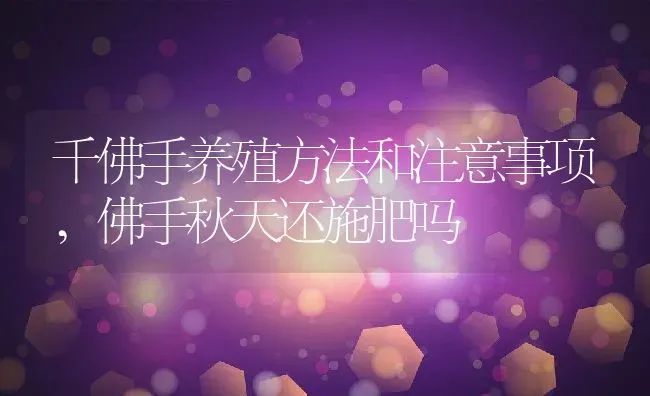 千佛手养殖方法和注意事项,佛手秋天还施肥吗 | 养殖常见问题