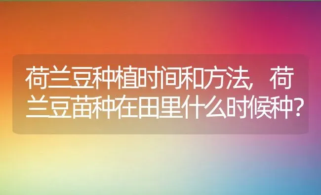 荷兰豆种植时间和方法,荷兰豆苗种在田里什么时候种？ | 养殖常见问题