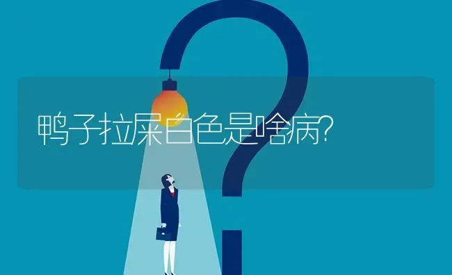 鸭子拉屎白色是啥病? | 养殖问题解答