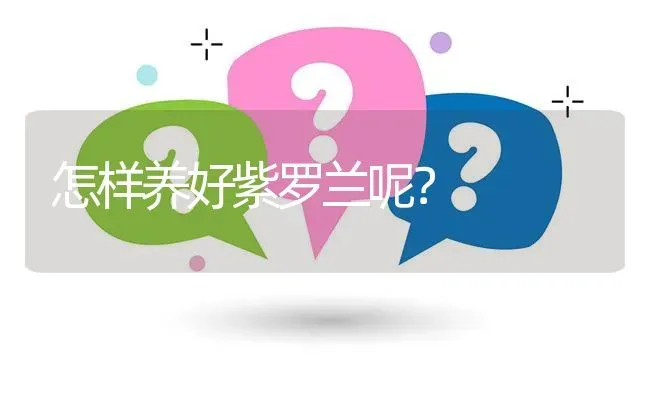 怎样养好紫罗兰呢? | 养殖问题解答