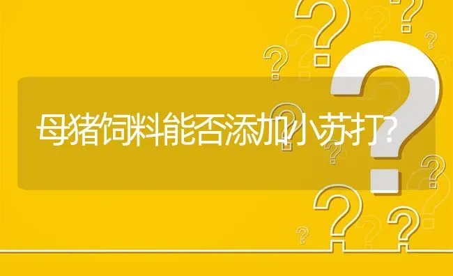 母猪饲料能否添加小苏打? | 养殖问题解答