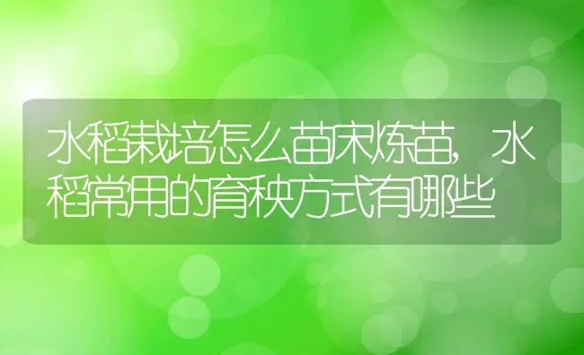 水稻栽培怎么苗床炼苗,水稻常用的育秧方式有哪些 | 养殖常见问题