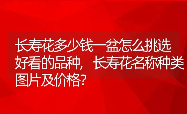 长寿花多少钱一盆怎么挑选好看的品种,长寿花名称种类图片及价格？ | 养殖常见问题