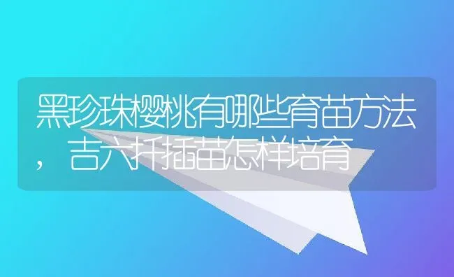 黑珍珠樱桃有哪些育苗方法,吉六扦插苗怎样培育 | 养殖常见问题