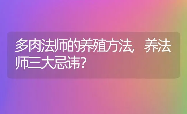 多肉法师的养殖方法,养法师三大忌讳？ | 养殖常见问题