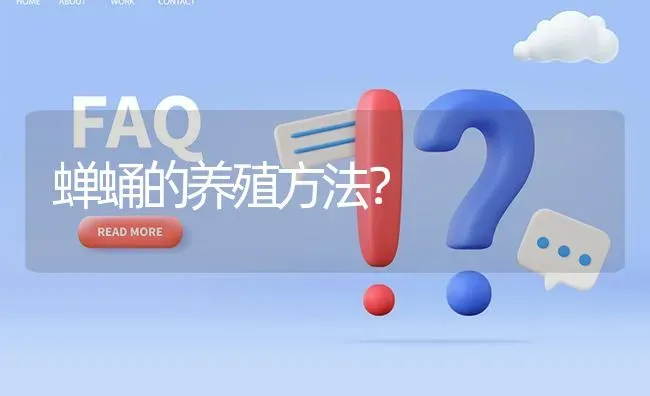 蝉蛹的养殖方法? | 养殖问题解答