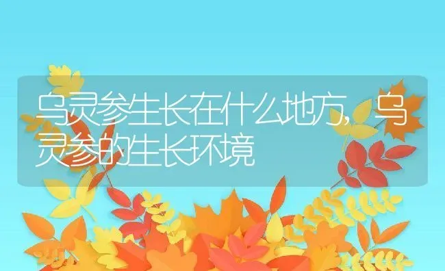 乌灵参生长在什么地方,乌灵参的生长环境 | 养殖常见问题