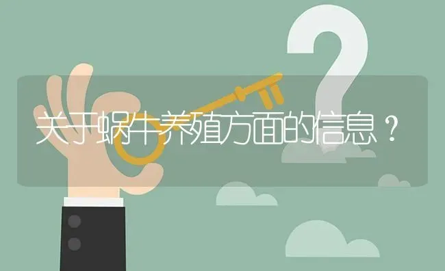 关于蜗牛养殖方面的信息? | 养殖问题解答