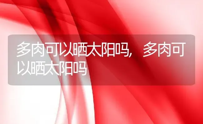 多肉可以晒太阳吗,多肉可以晒太阳吗 | 养殖常见问题