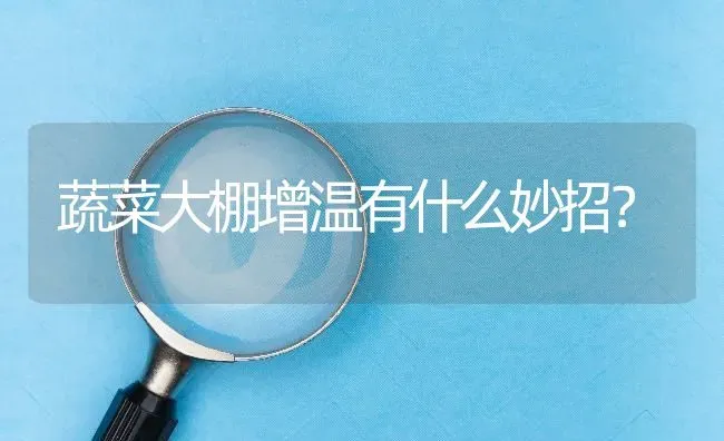 蔬菜大棚增温有什么妙招? | 养殖问题解答