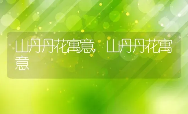 山丹丹花寓意,山丹丹花寓意 | 养殖常见问题