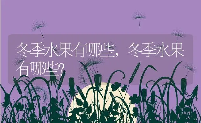 冬季水果有哪些,冬季水果有哪些？ | 养殖常见问题