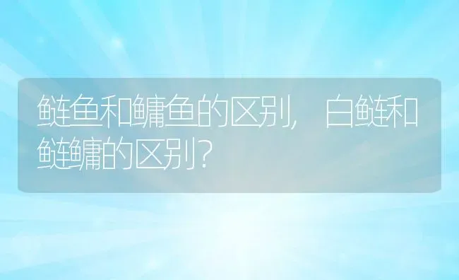 鲢鱼和鳙鱼的区别,白鲢和鲢鳙的区别？ | 养殖常见问题